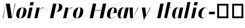 Noir Pro Heavy Italic字体转换